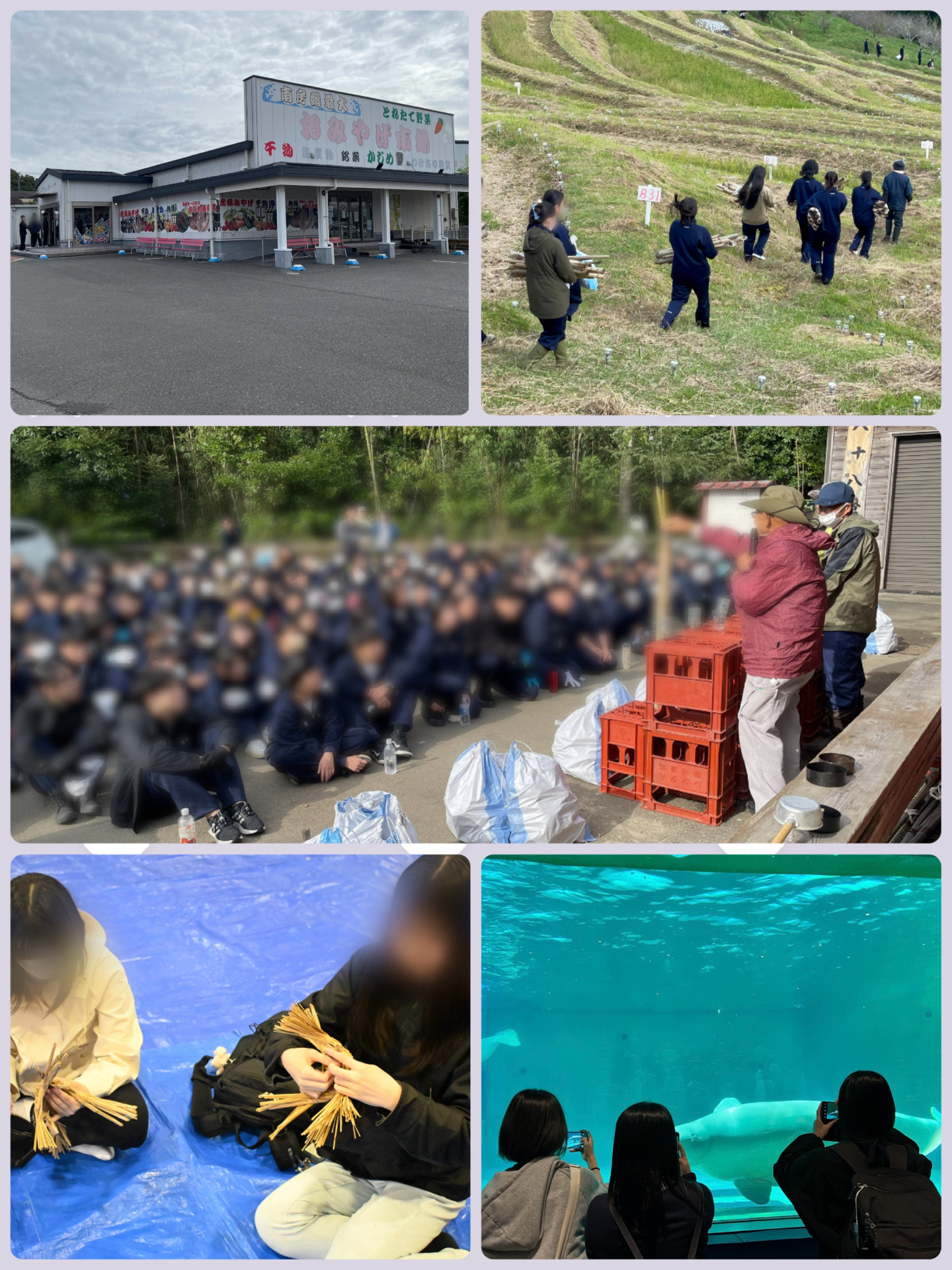 画像 -20260310-052250-988657cb